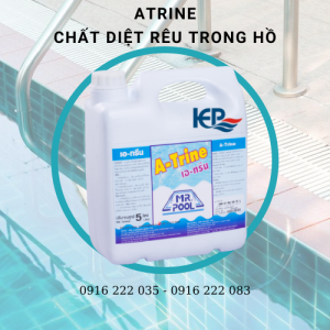 ĐẶC ĐIỂM NHẬN DẠNG HÓA CHẤT POOL CLEAR, ATRINE, METAL AWAY